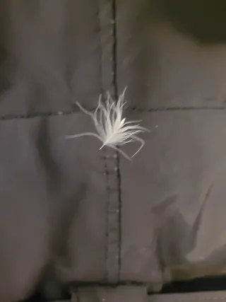 Abrigo acolchado Zara negro con cinturón