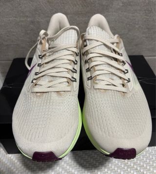 Nike Pegasus 39 Talla 42