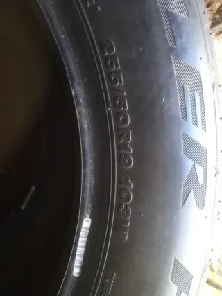 Pareja Neumáticos 255/50/19