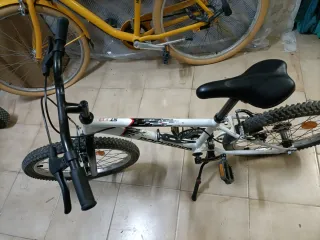 Bicicleta de Niño