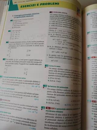 Il Walker. Fisica 2. Onde, Elettricità, Magnetismo