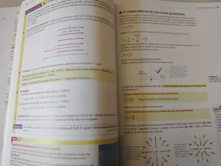 Il Walker. Fisica 2. Onde, Elettricità, Magnetismo
