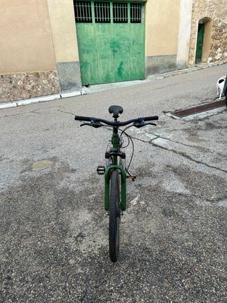 Bici pieghevole da montagna verde