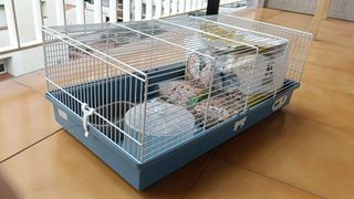 Pack Jaula para hámster