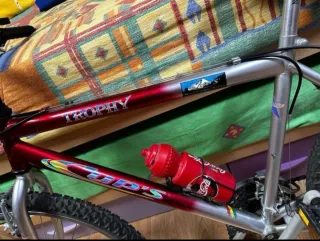 Bicicleta de Montaña Trophy