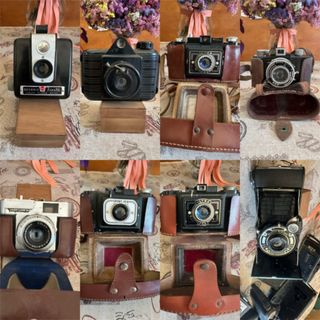 Collezione di vecchie fotocamere Polaroid