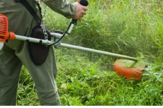 Desbroce y limpieza de finca, plantaciones, jardin