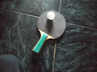Pala de ping pong con pelota