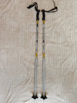 Bastones de esquí 100