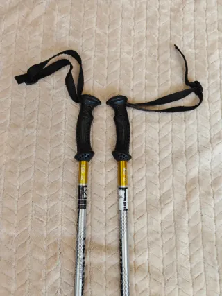 Bastones de esquí 100