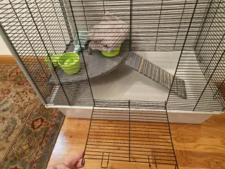 Jaula para hurón gris y blanco