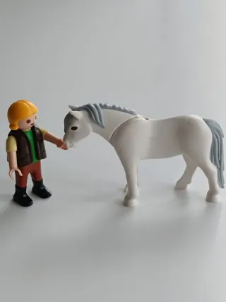 Playmobil Niño y Caballo Blanco