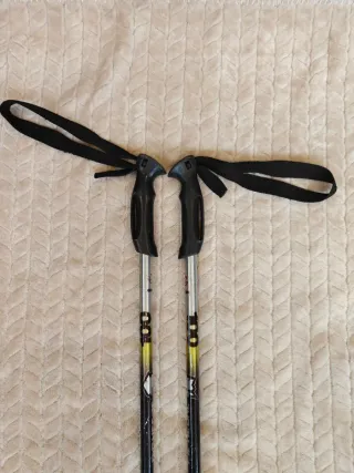 Bastones de esquí 100