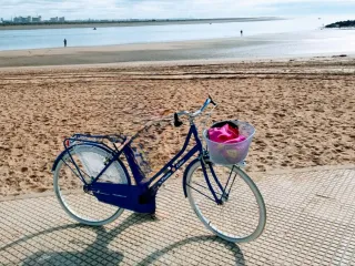 Bicicleta de paseo azul con cesto y adorno en rued
