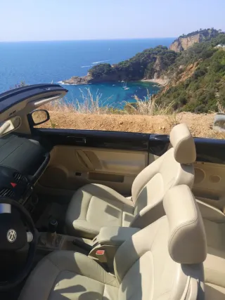 Volkswagen Beetle 2004