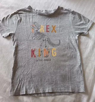 Lote 4 Camisetas Niño Talla 5-6