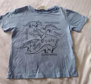 Lote 4 Camisetas Niño Talla 5-6