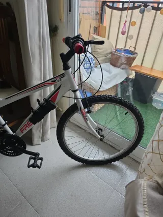 Bicicleta FREERIDER24