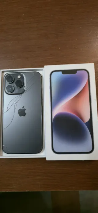 iPhone 13 Pro Gris