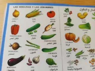 Material laminas Español Árabe Vocabulario