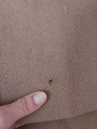 Abrigo Mango Marrón