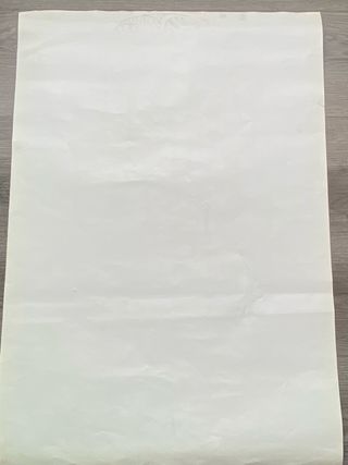 OCASIÓN! Gran cartel psicodélico original 1966