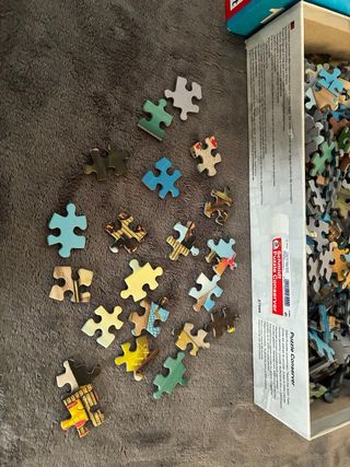 Puzzle Colin Thompson 1000 piezas