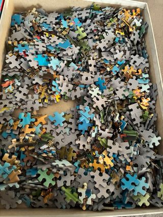 Puzzle Colin Thompson 1000 piezas