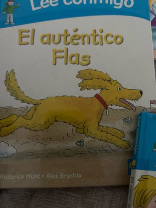 lote cuentos niños