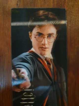 Marcapáginas Harry Potter Merchandasing Potterhead