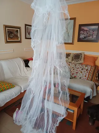 Vestido de Novia Artenovia y velo