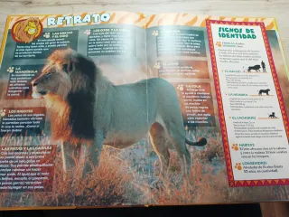 El Maravilloso Mundo de los Animales - los Leon...