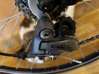 Bici Carretera Dawes Giro 500 (L/XL)