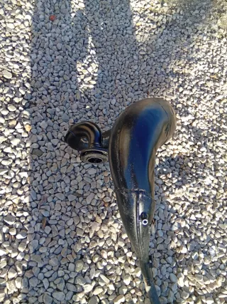 Escape Honda CRM 125