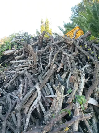 Leña para chimenea o barbacoa