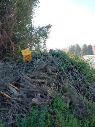 Leña para chimenea o barbacoa