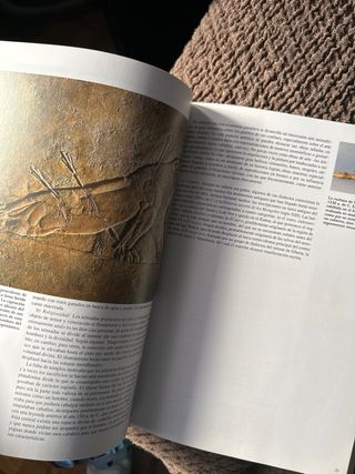Libro sobre la historia universal. Egipto.