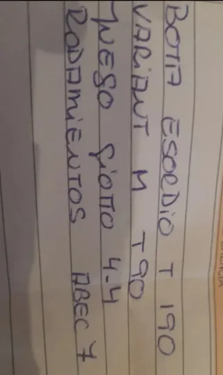 Patines profesionales Edea bota190