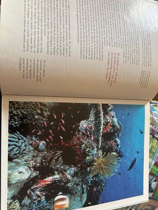 Libro los reinos del mar National Geographic