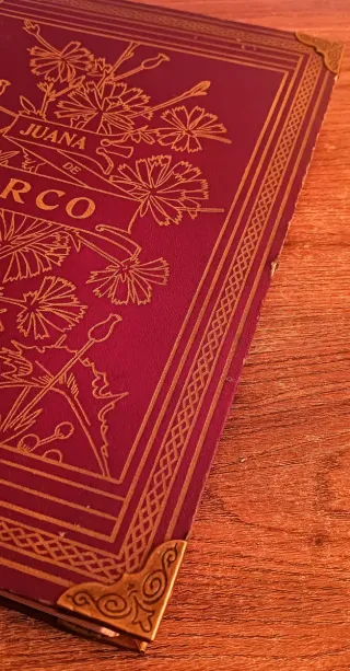 Juana de Arco. Libro antiguo 1909