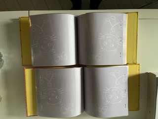 2 Raccoglitori per Foto Gialli con Gattini