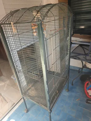 Jaula grande para loros