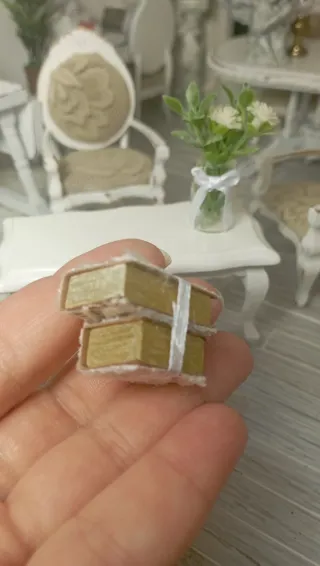 Coppia Libri Miniatura Shabby 1:12