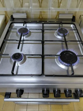 Cocina Schneider 4 fuegos y horno a gas