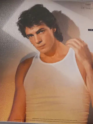 Rick Springfield Working class dog