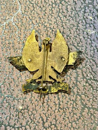 Insignia aviación águila dorada.