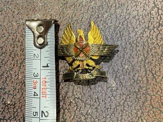 Insignia aviación águila dorada.