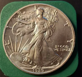Dollaro USA 1989 Walking Liberty