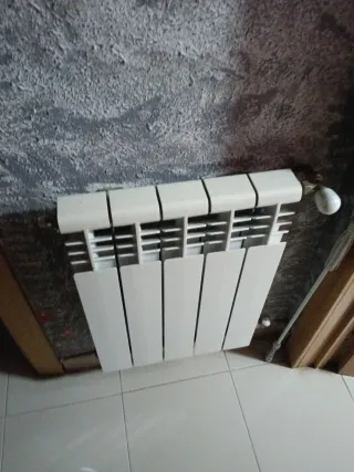 Caldera Chaffoteaux y radiadores