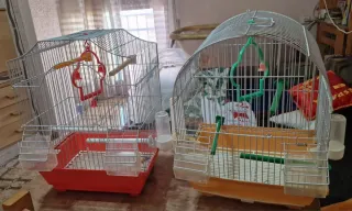 Jaulas para pájaros (2 unidades)